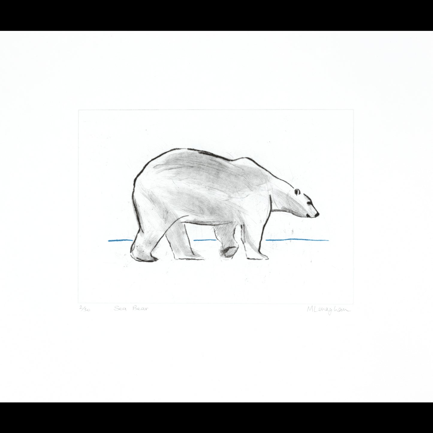 Sea Bear