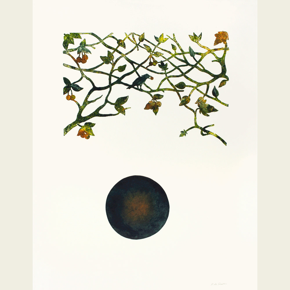The bird and the berries