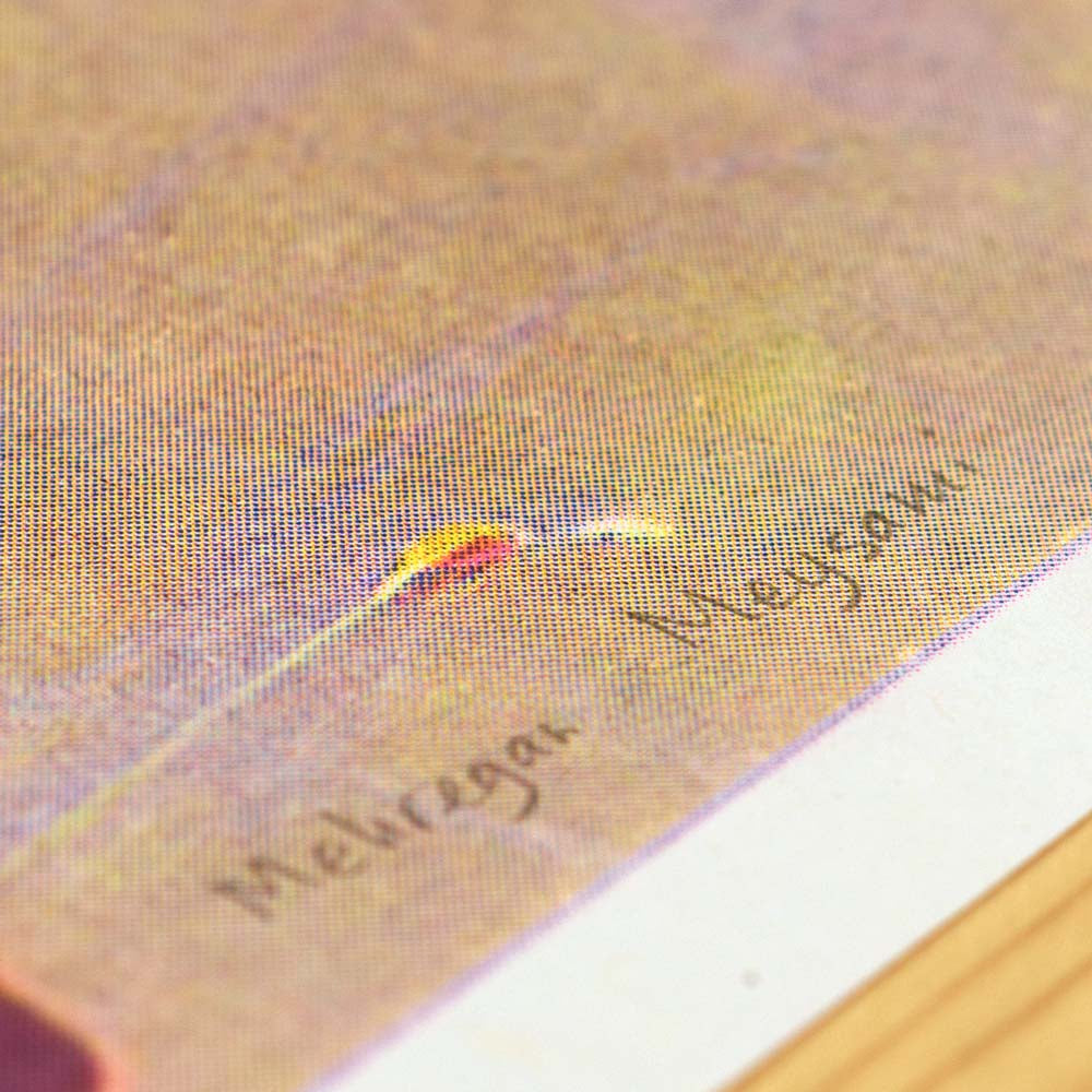 Poems of Decay XXII - i vit ram