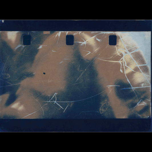 That Rose which only words distant from roses can describe (blå)