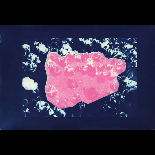 Vintern är över (III)