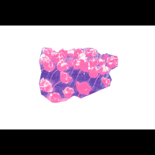 Vintern är över (V)