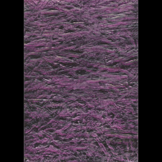 Transcription OSB No. VIII