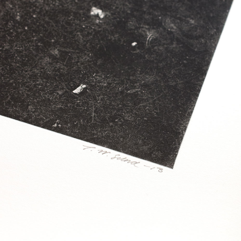 (2) The dust blows forward, and the dust blows back