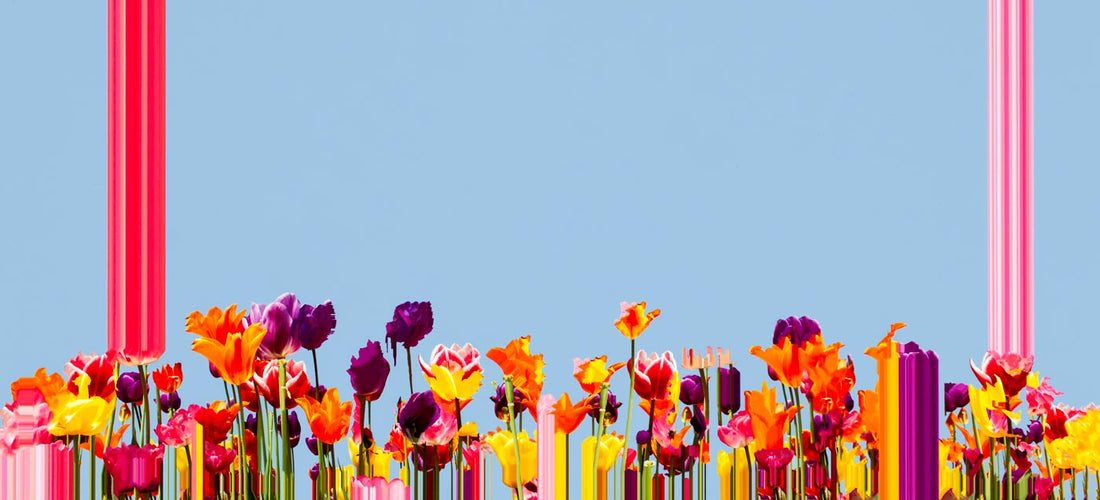 ikebana