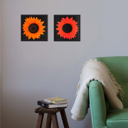 Orange solros
