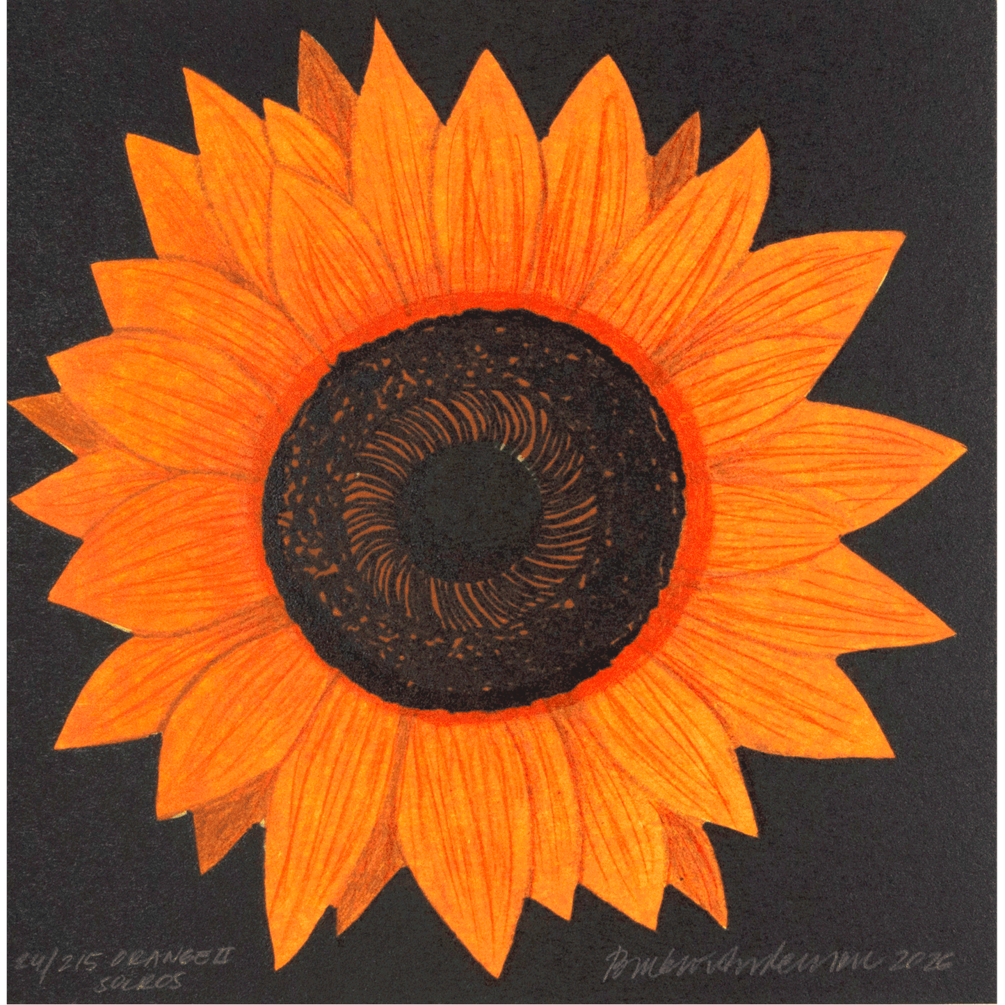 Orange solros II