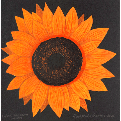 Orange solros II