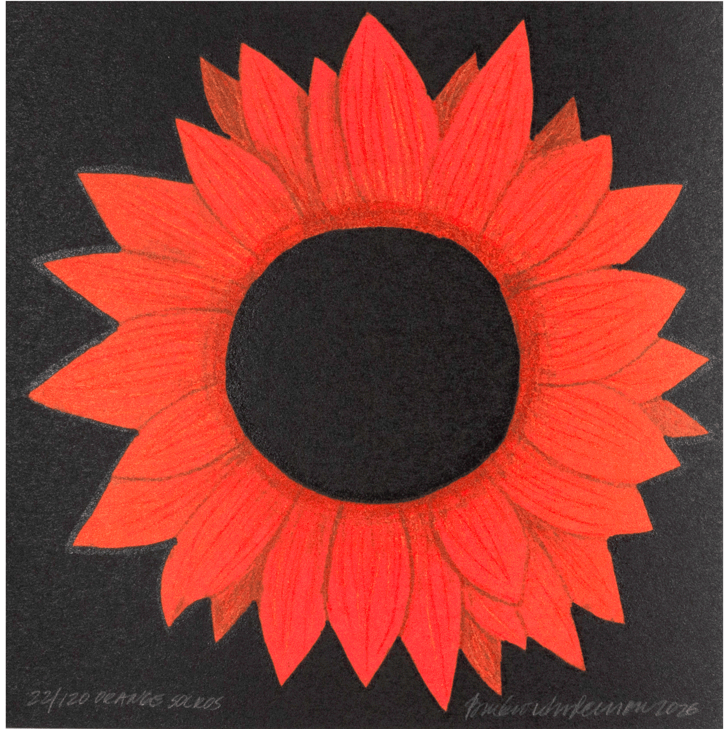 Orange solros