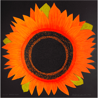 Orange solros (stor)