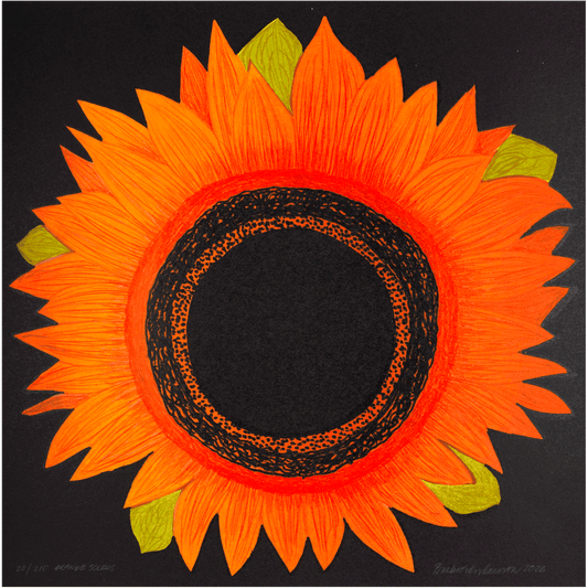 Orange solros (stor)