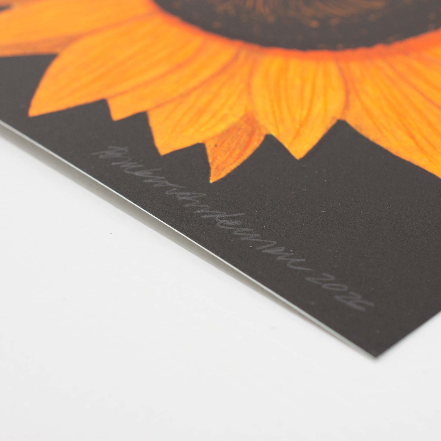 Orange solros II