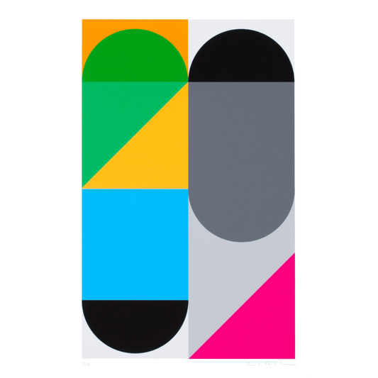 The Flag Project XVII