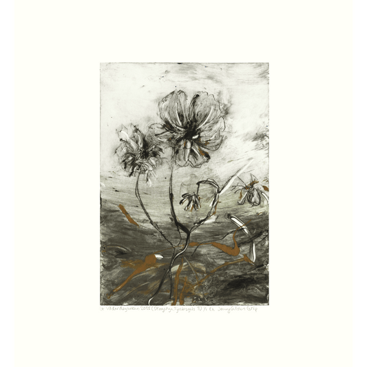 Ur Väderdagboken 2025 (Skogsöga, Fjolårsgräs 3)