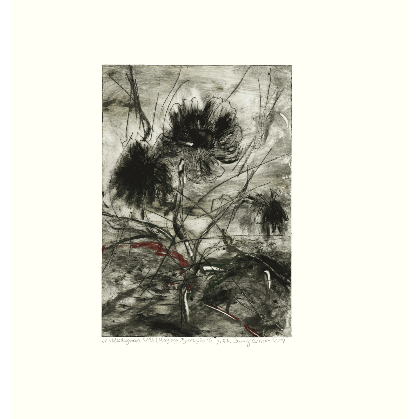 Ur Väderdagboken 2025 (Skogsöga, Fjolårsgräs 4)