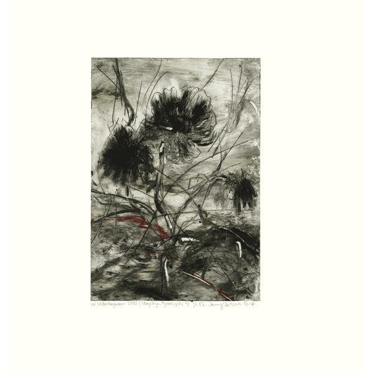 Ur Väderdagboken 2025 (Skogsöga, Fjolårsgräs 4)