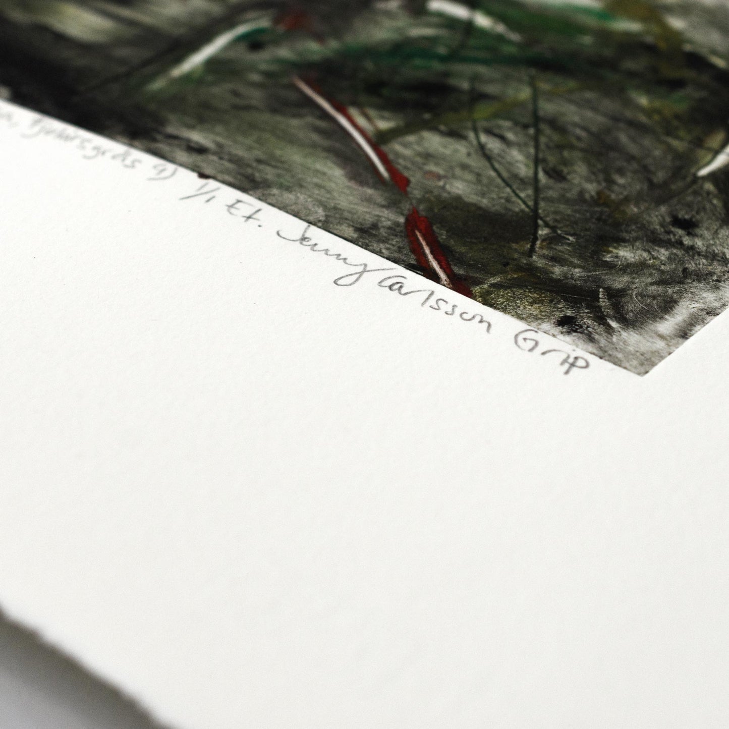 Ur Väderdagboken 2025 (Skogsöga, Fjolårsgräs 4)