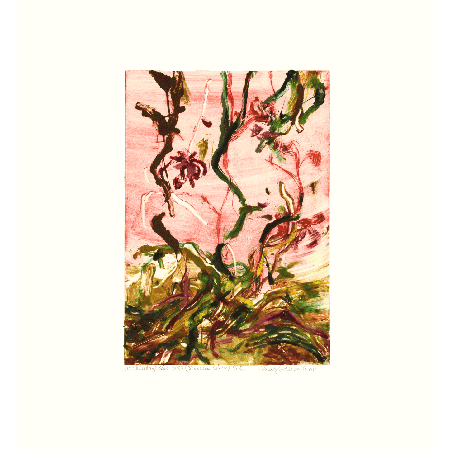 Ur Väderdagboken 2025 (Skogsöga, Slå ut)