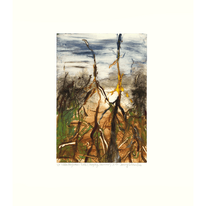 Ur Väderdagboken 2025 (Skogsöga, Stammar 1)