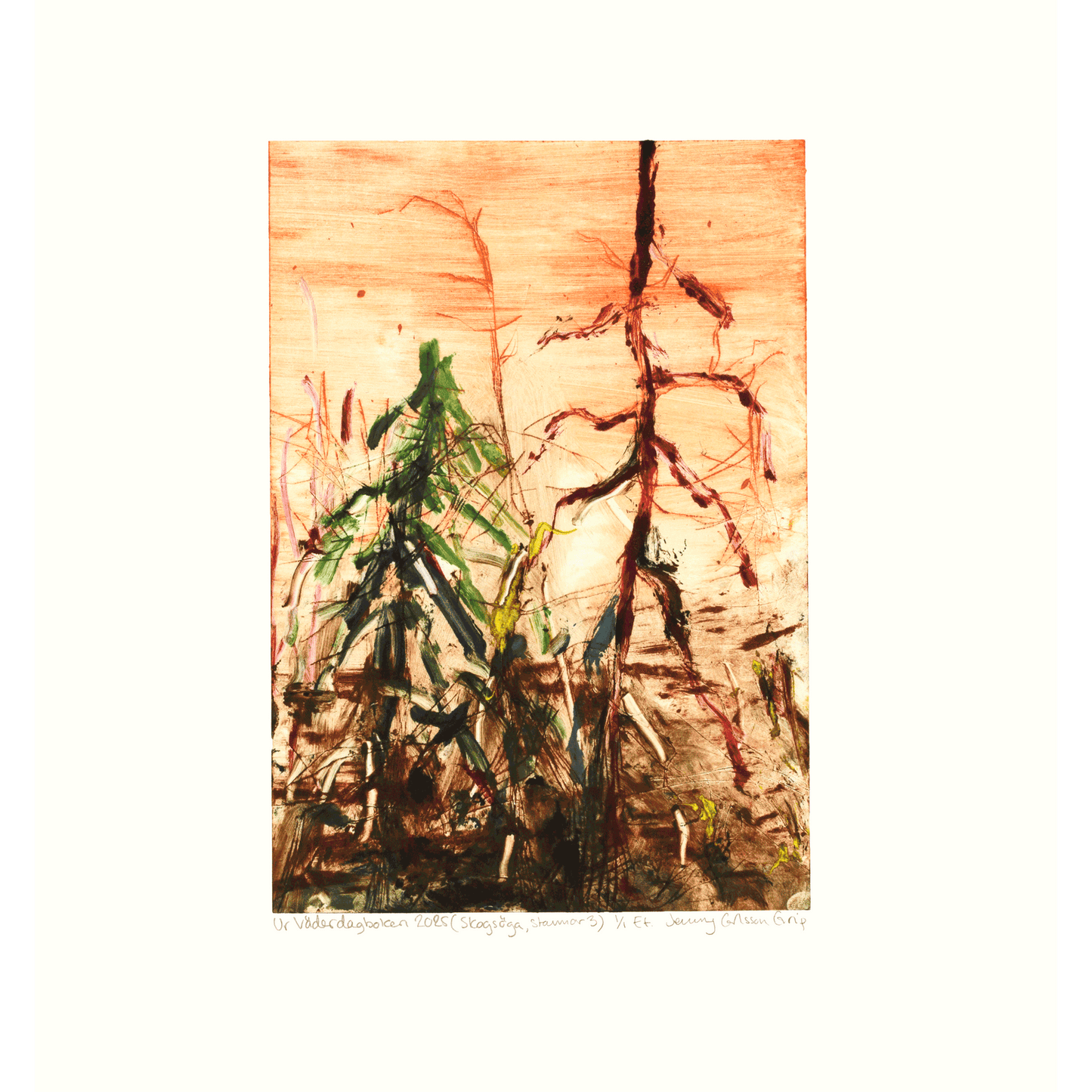 Ur Väderdagboken 2025 (Skogsöga, Stammar 3)