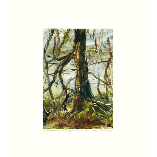 Ur Väderdagboken 2025 (Skogsöga, Stammar 4)