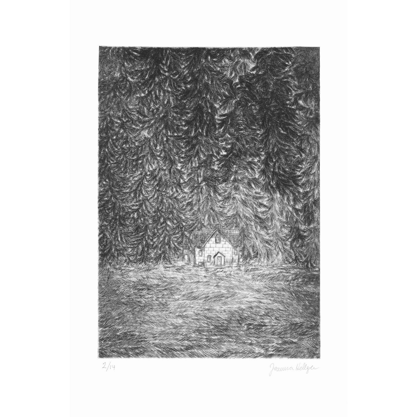 A house at the forest brim