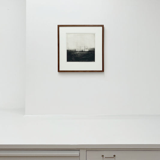 The shed - i valnötsram