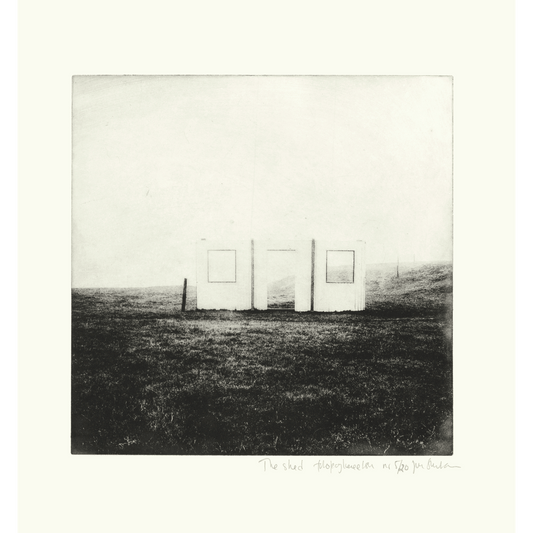 The shed