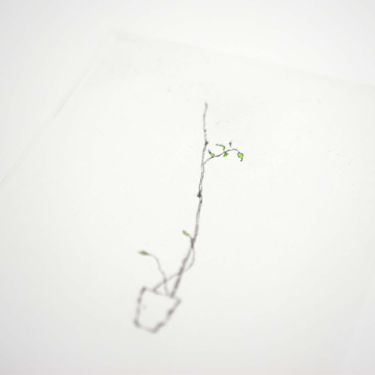 Gröna blad