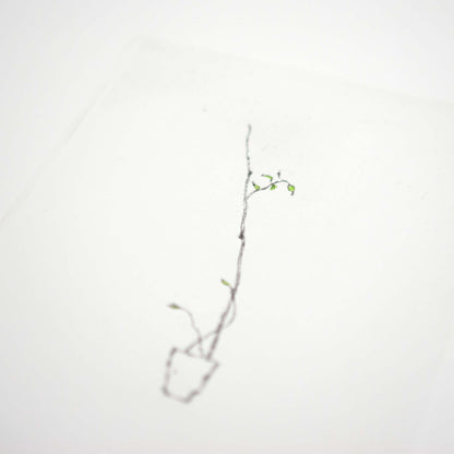 Gröna blad