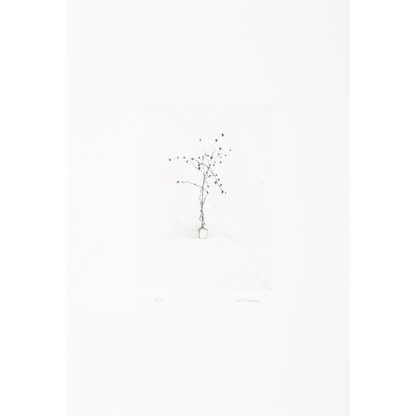 Satie's Plant