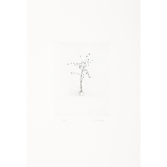 Satie's Plant