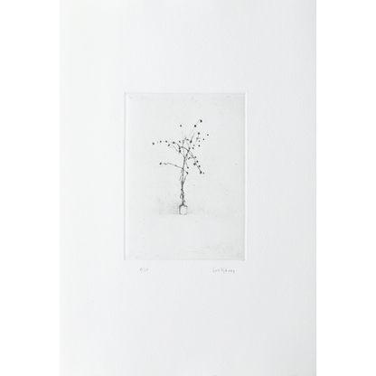 Satie's Plant