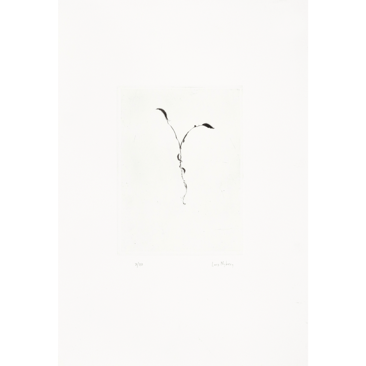 Två blad