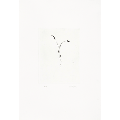Två blad