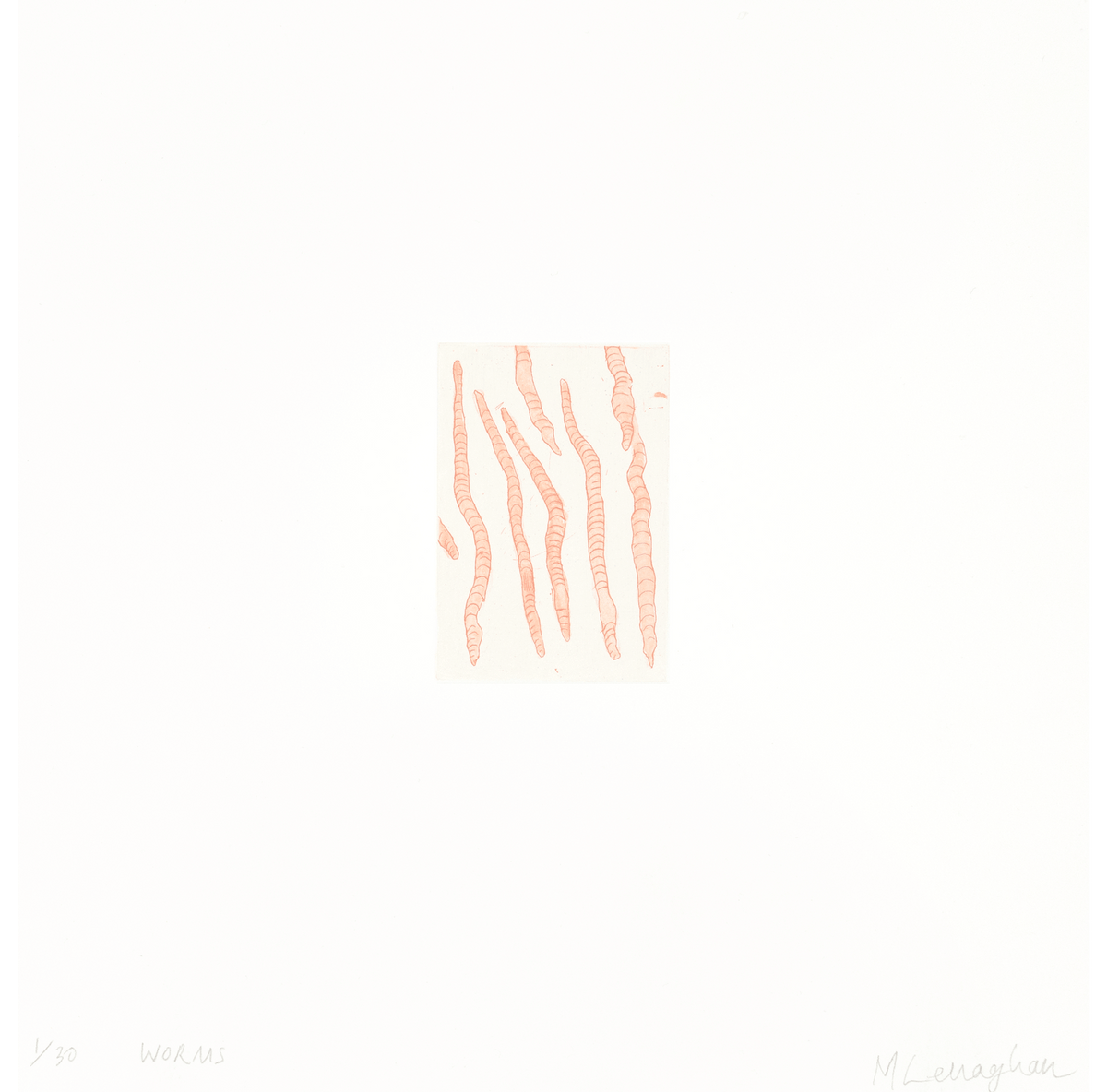 Worms