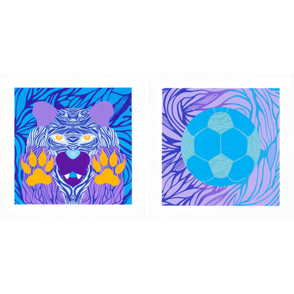 Wizards of play, Tiger 12 + Tiger ball 12