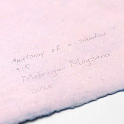 Anatomy of a shadow (I)