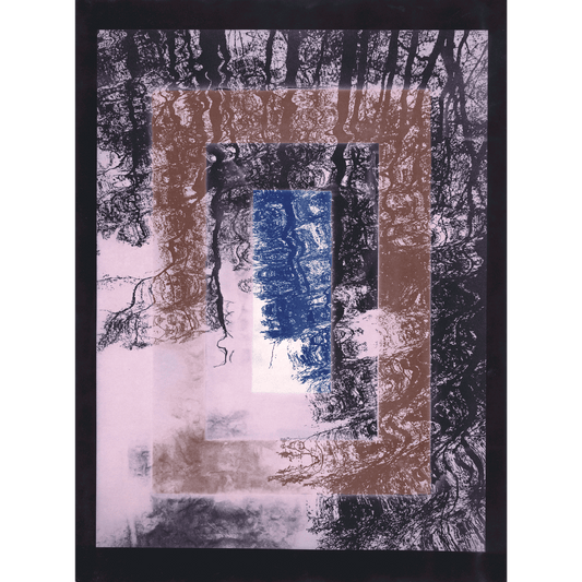 Anatomy of a shadow (V)