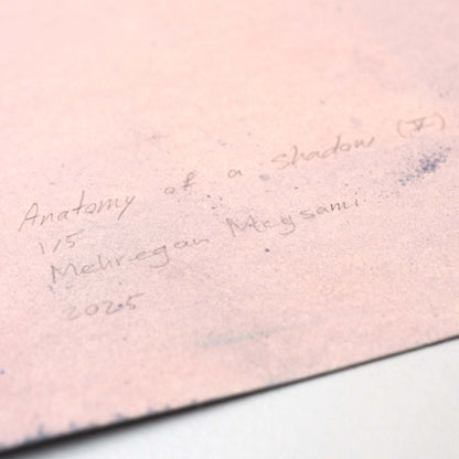 Anatomy of a shadow (V)