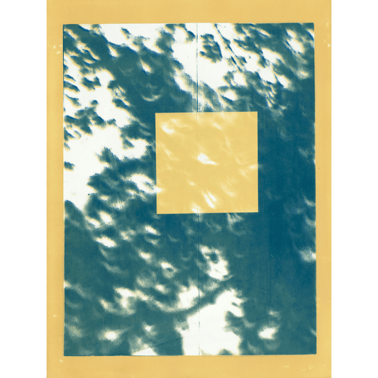 Där ljuset faller (VII)