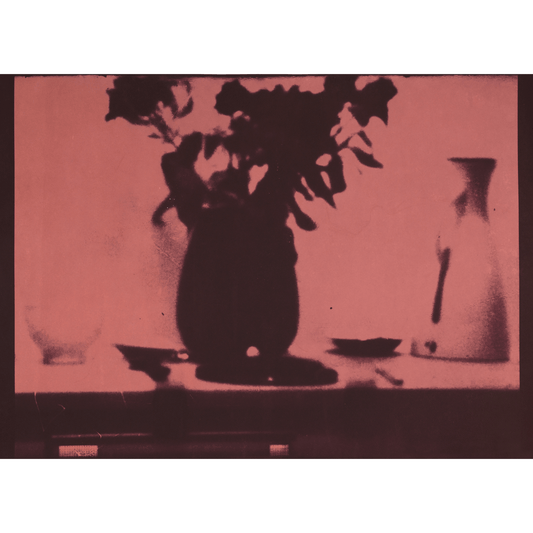 The Unedning Rose "plum"