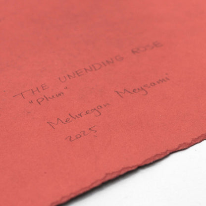 The Unedning Rose "plum"