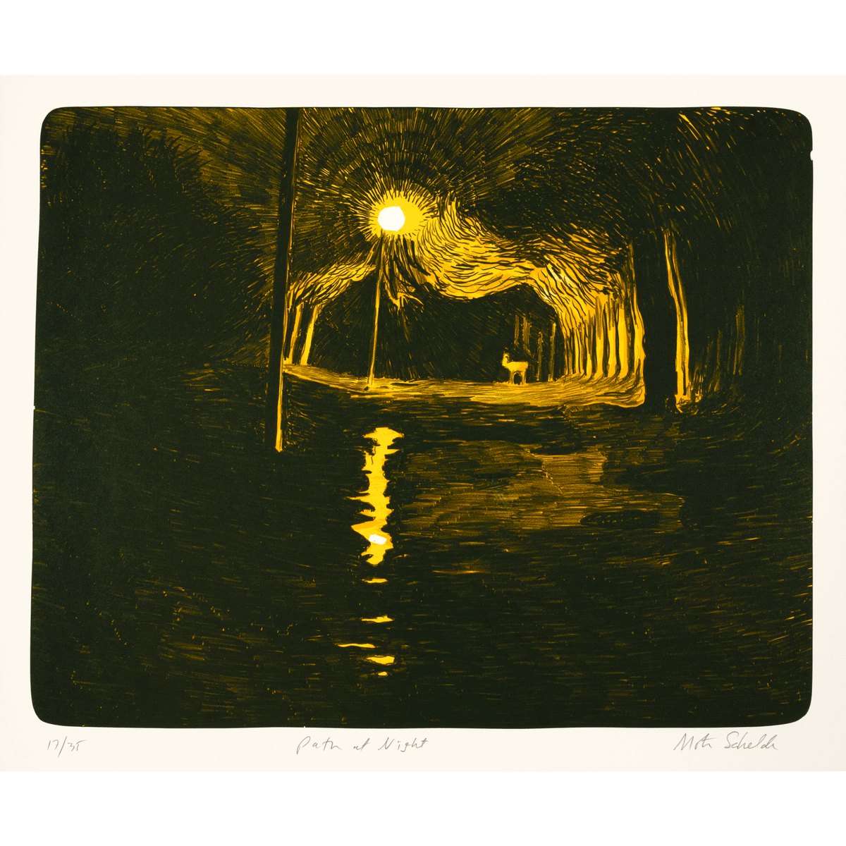 Path at Night