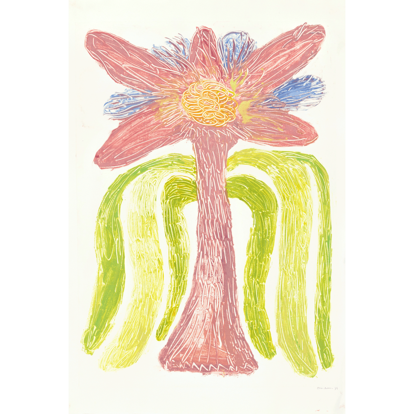 Blomma IV