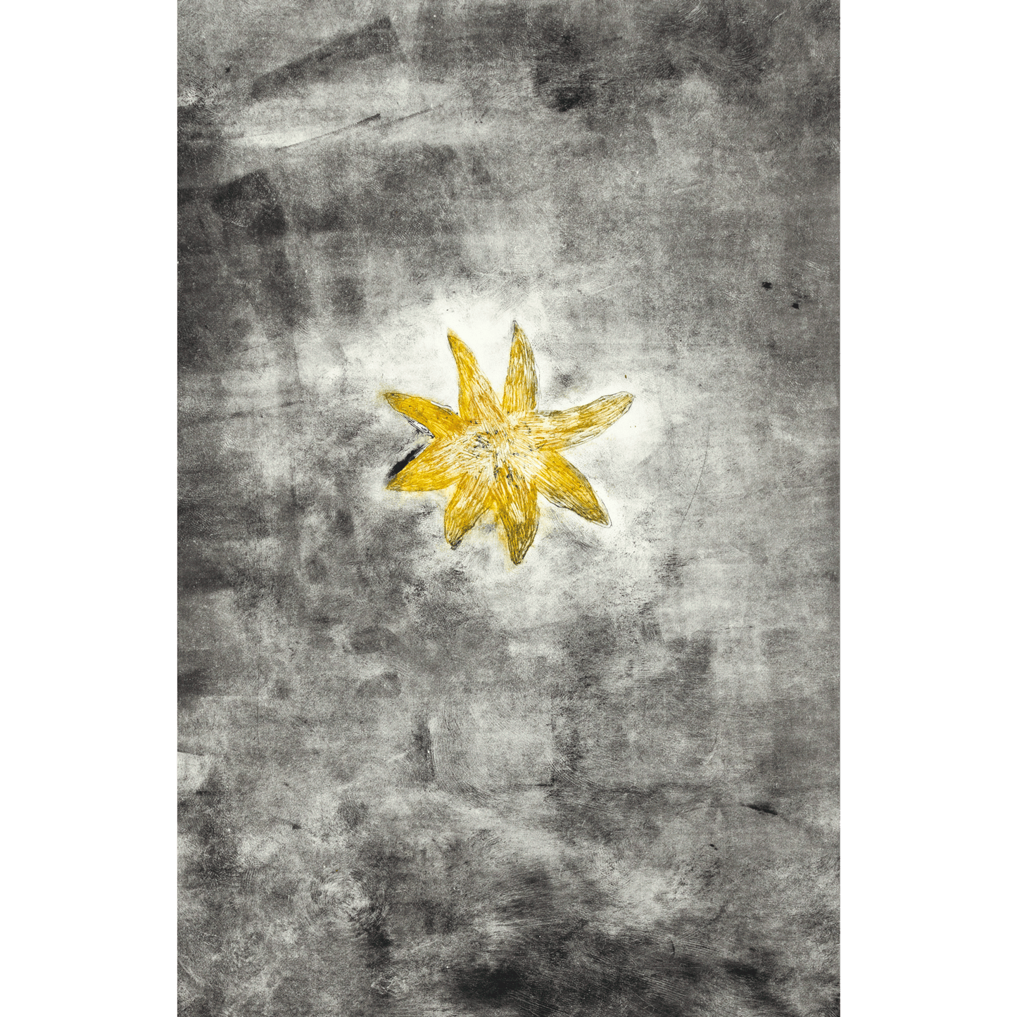 Blomma svart