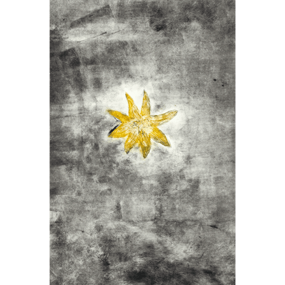 Blomma svart