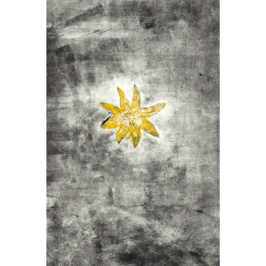 Blomma svart
