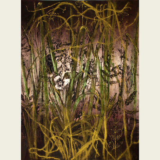 Plant Agua