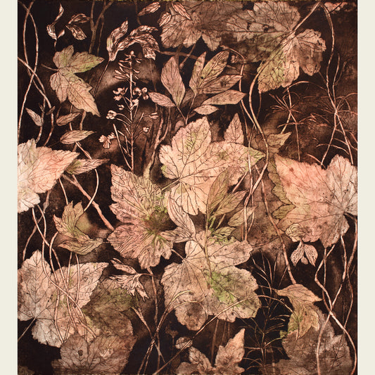 Vegetation